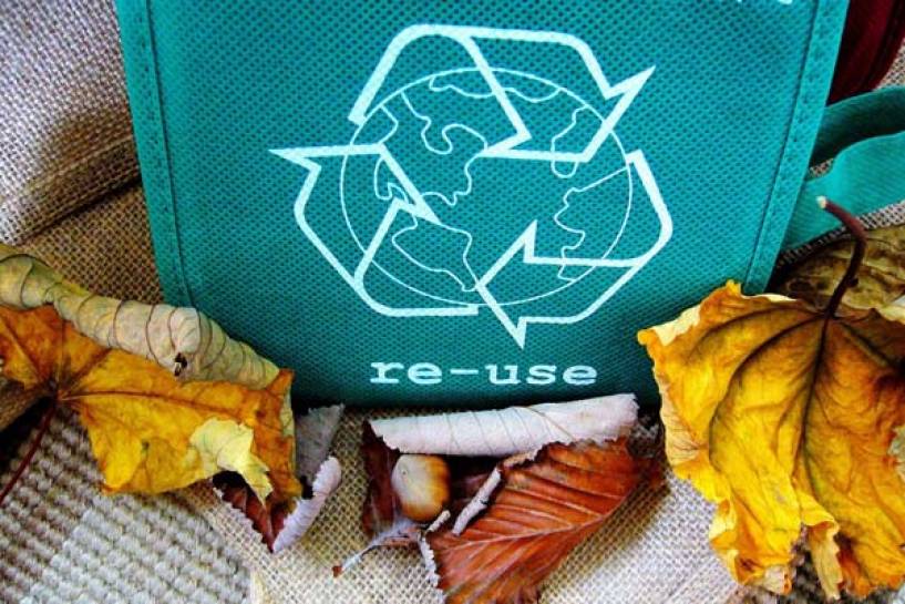 EcoHeroes, la aplicación que entrega recompensas a quienes reciclan y cuidan el medioambiente
