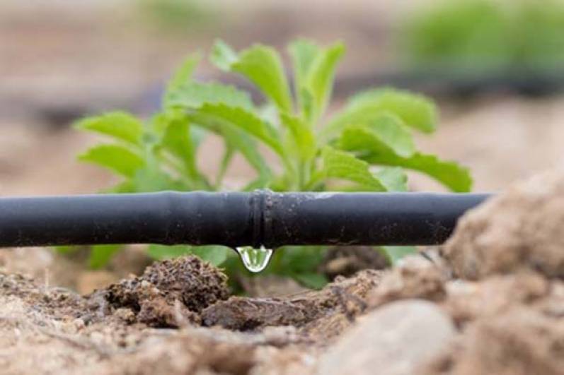 Ahorrar agua en el campo es posible con el Internet de las plantas