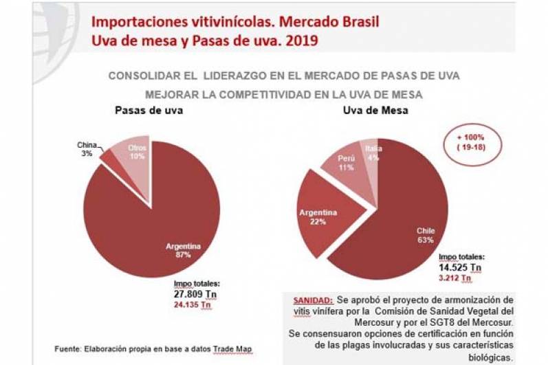Brasil facilitaría en breve el ingreso de la uva en fresco de Argentina
