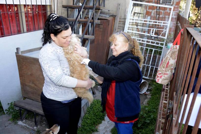 Tras aparición de un murciélago con rabia, el Municipio ya vacunó a más de 100 perros y gatos en Don Francisco