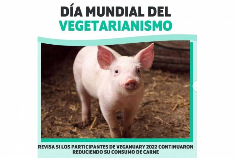 El 80% de los participantes de Veganuary reduce más de un 50% el consumo de carne seis meses después de participar