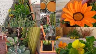 Encontrá en el nuevo blog de Con sabor a Hogar los secretos para armar tu jardín