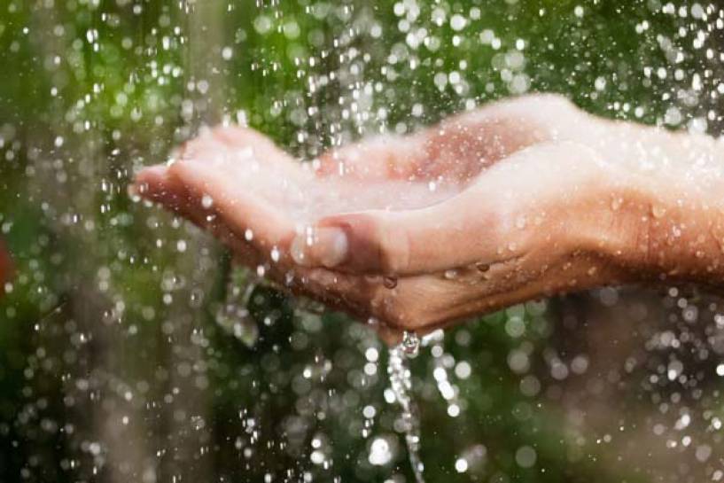 Agua, imprescindible para sostener la biodiversidad: Rotoplas