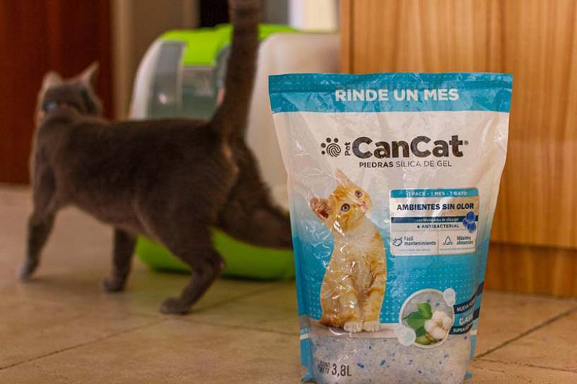 CanCat: Innovación y compromiso con el bienestar de las mascotas y sus familias