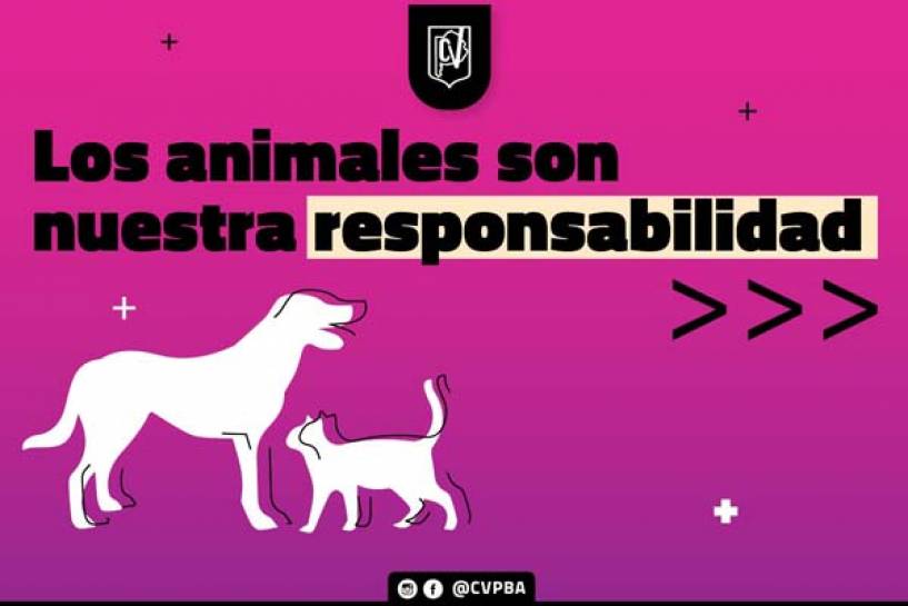 Los animales son nuestra responsabilidad
