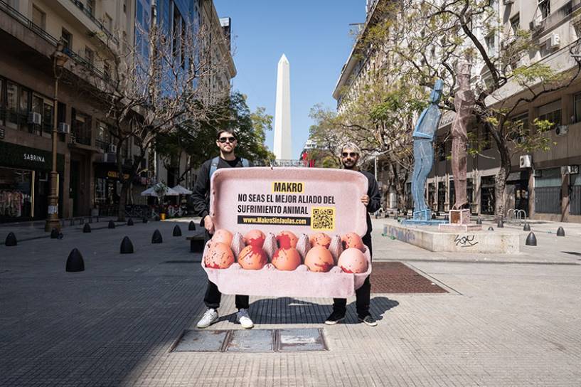 Protesta Pacífica Internacional Exige a Makro Dejar de Vender Huevos de Gallinas en Jaulas de Batería