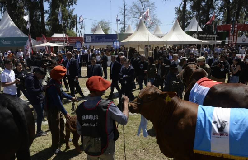 Zamora: “Nuestras políticas de Estado van a seguir acompañando a la ganadería”