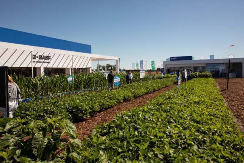 Expoagro 2022: BASF presenta innovaciones que conectan protección de cultivos, semillas y soluciones digitales