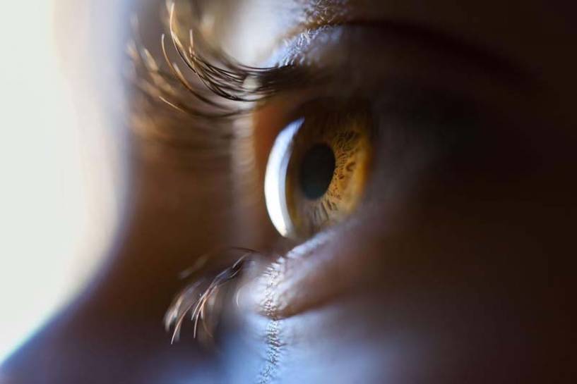 Día Mundial de la Visión: los ojos en primer plano