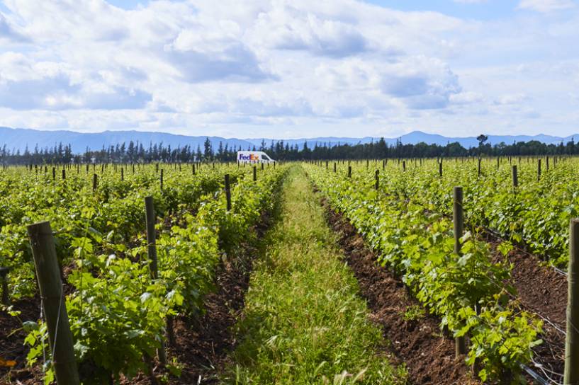 FedEx Express busca impulsar la exportación del vino argentino