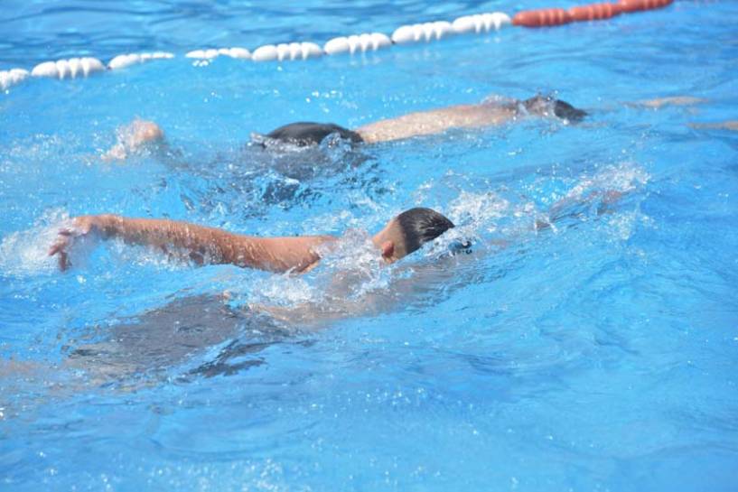 Deportes: ¡disfrutá el verano en la escuela de natación!
